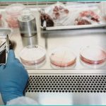 white house advances psychedelic research for vete