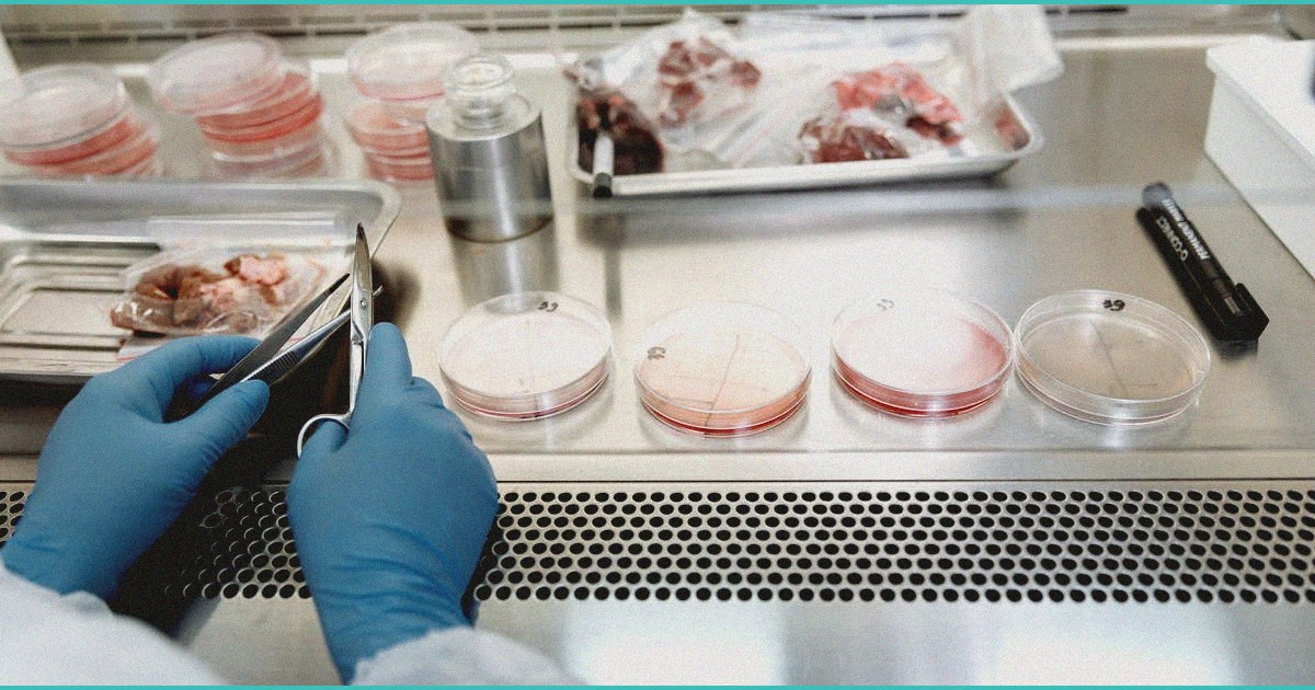 white house advances psychedelic research for vete