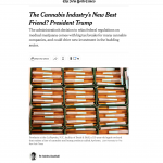 Ashley Southall New York Times article
