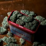 New Cannabis Dispensary Opens On Route 22 In Somerville | Bridgewater, NJ Patch