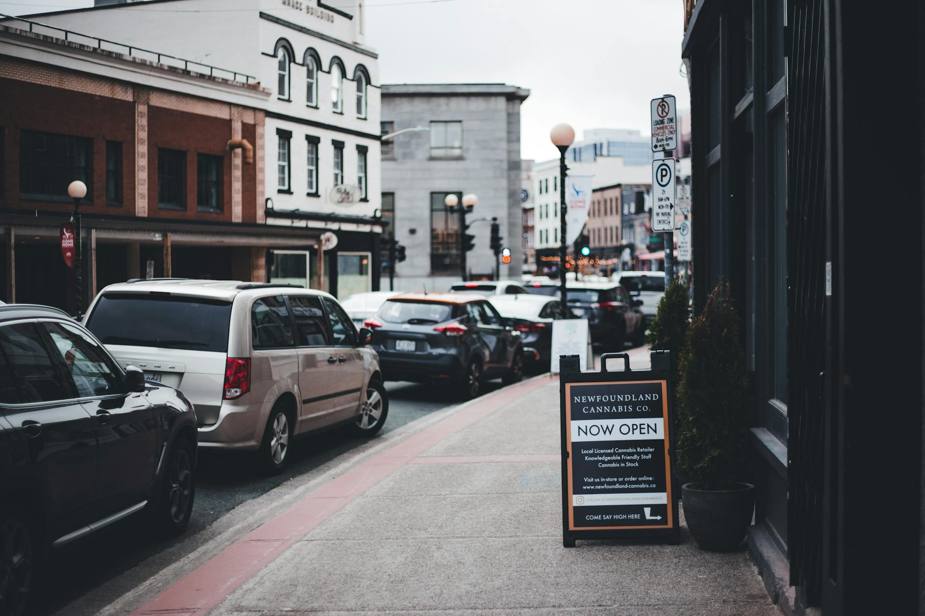 These Maine towns have the most cannabis businesses - The County