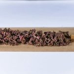 Cannabis Strain Effects: How Terpenes Shape Your Mood - Native Roots