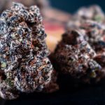 Cannabis Terpenes 101: Effects, Benefits & Popular Strains in New Jersey - Lemon 22