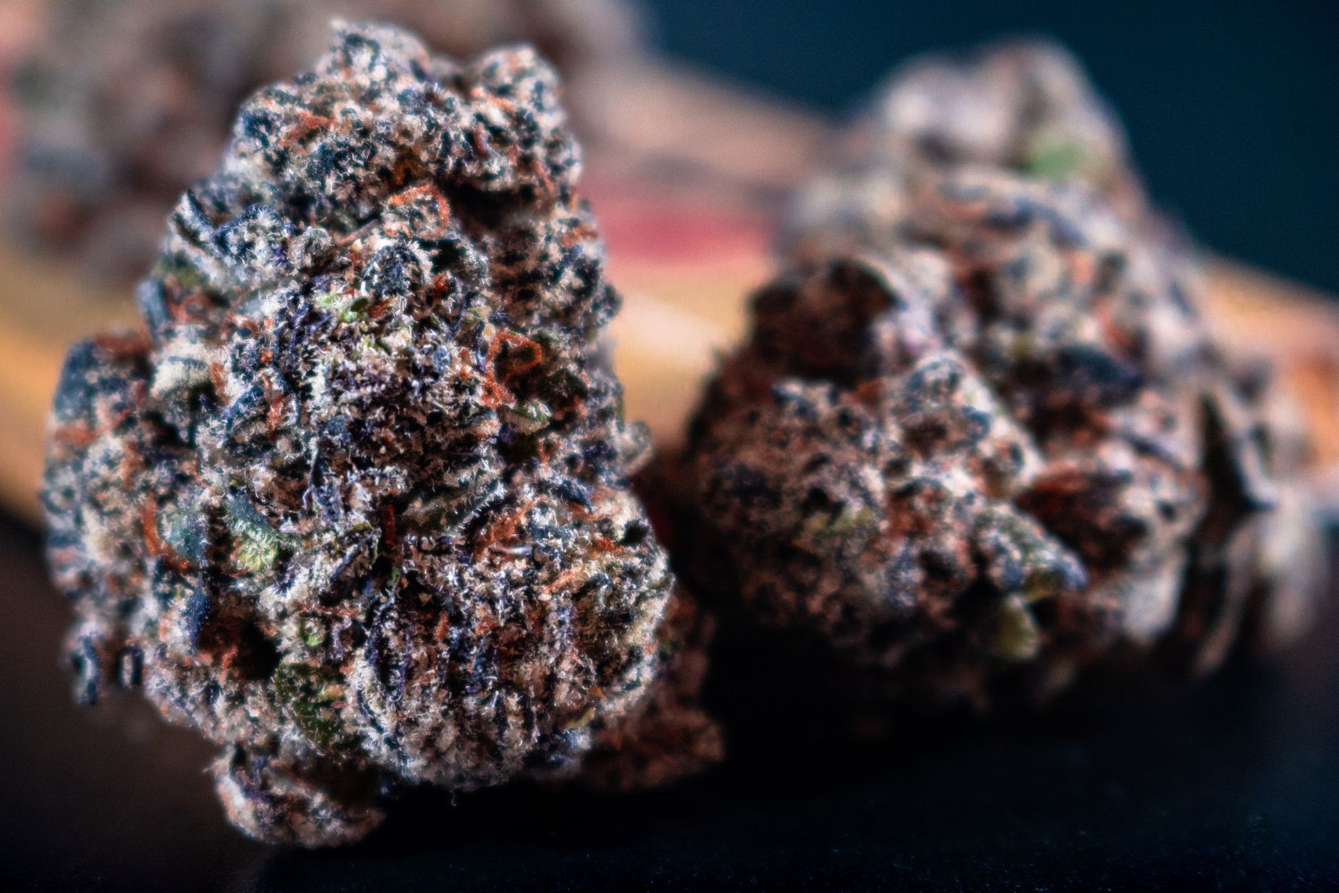 Cannabis Terpenes 101: Effects, Benefits & Popular Strains in New Jersey - Lemon 22