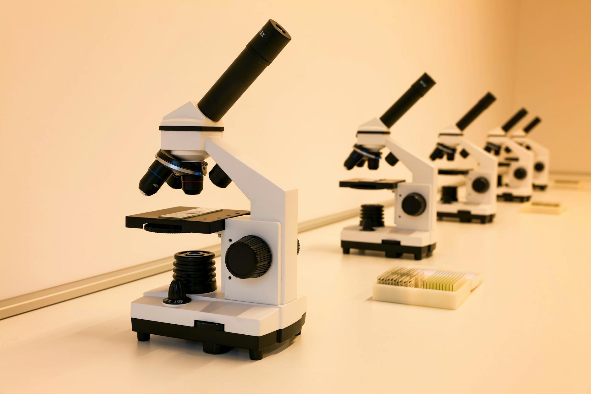 Albaugh Marijuana Research Cited in Scientific American Article - University of Vermont