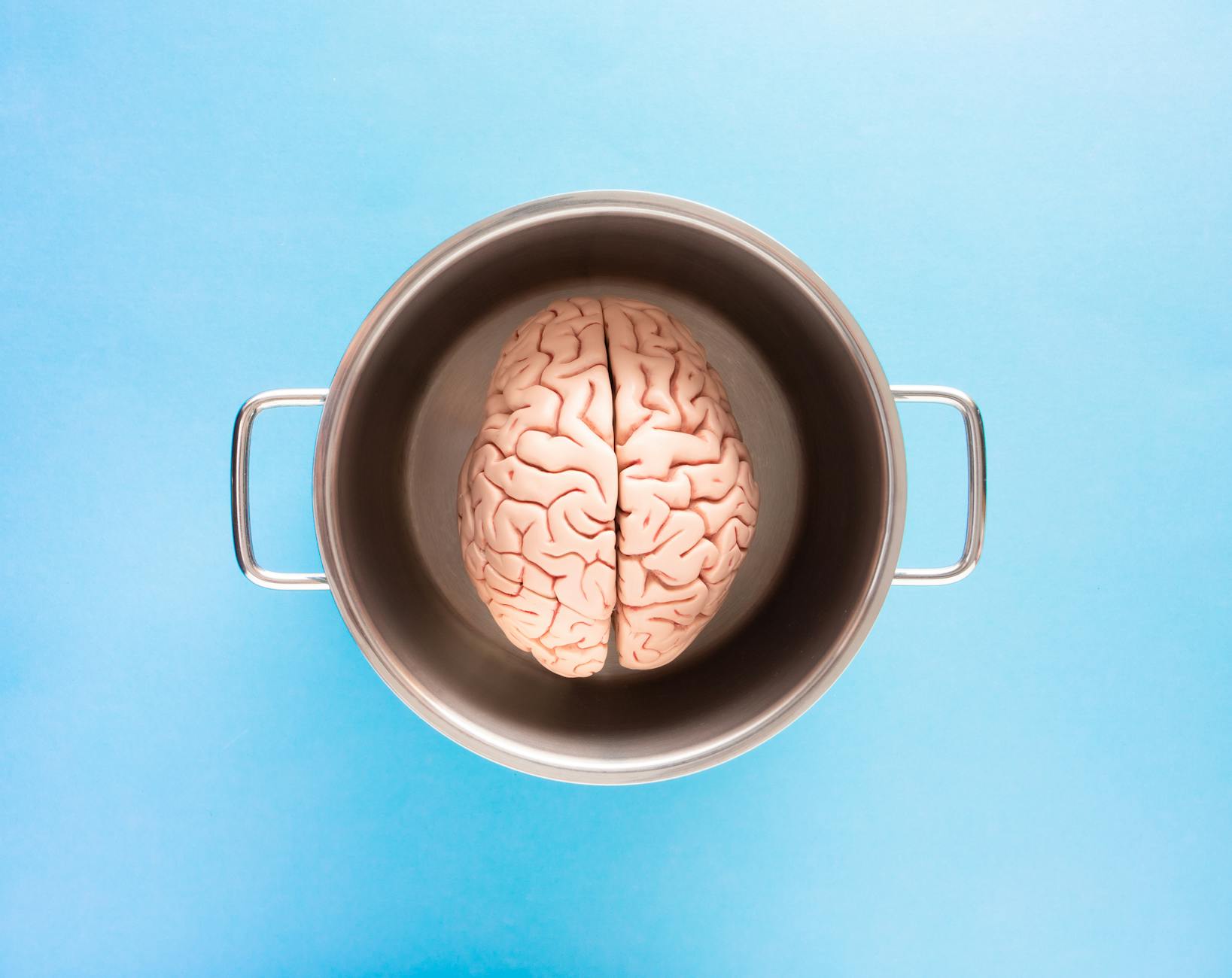 Brain Researchers Finally Know Why Cannabis Use Increases Appetite - The Debrief