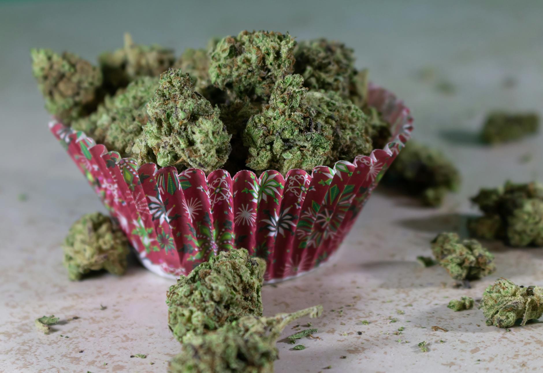 Study reveals why older adults are using cannabis edibles | EurekAlert!