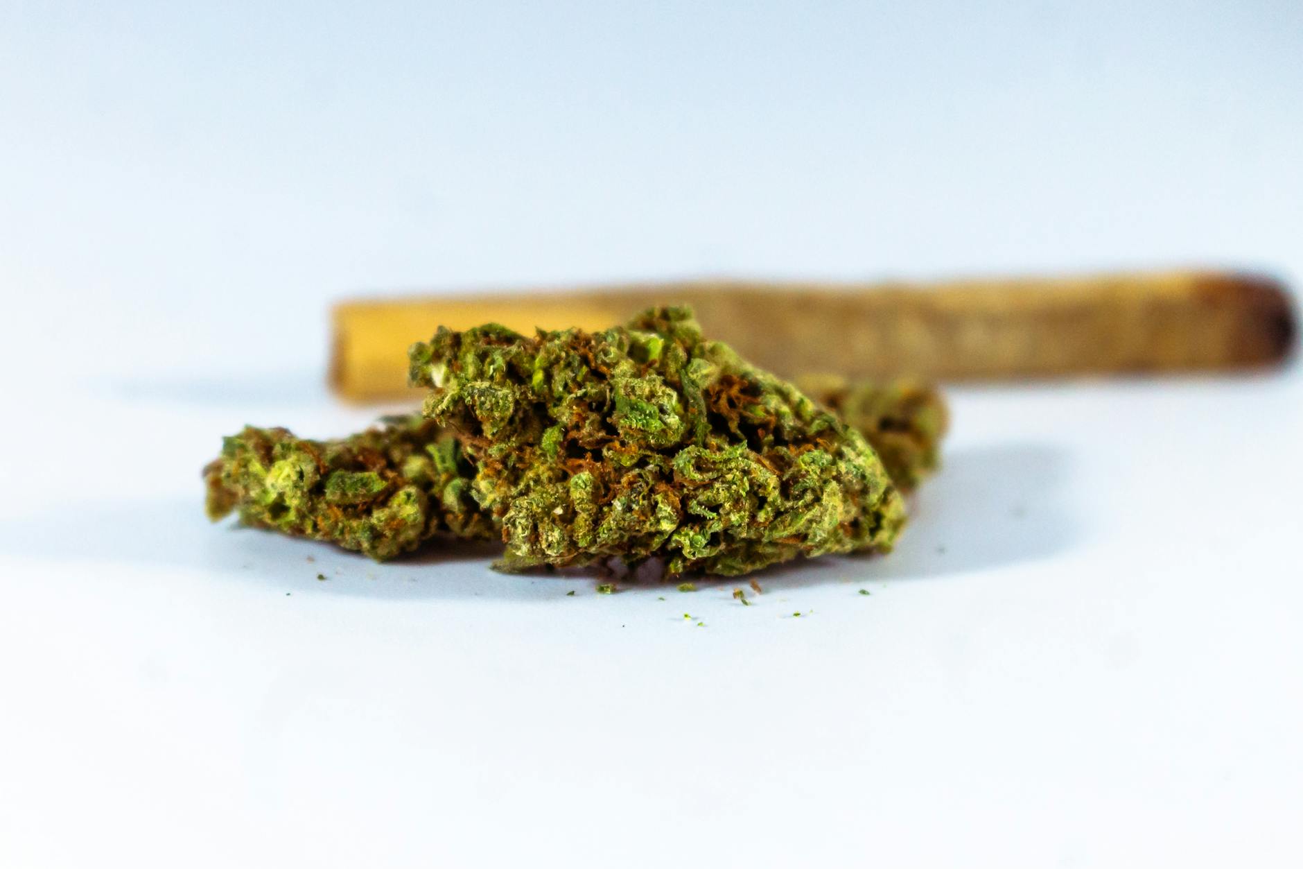 DEA's New Marijuana Registration Questions Redefining the Cannabis Industry - And MMJ ...