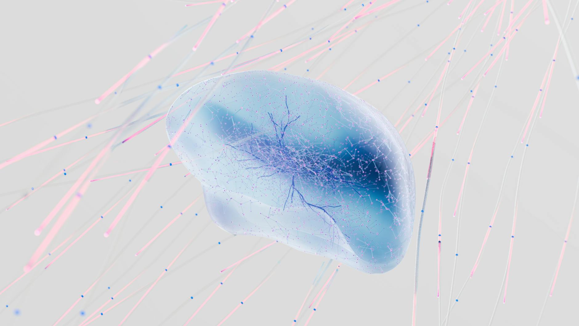 Beyond Dopamine: New Research Uncovers Multisystem Brain Networks in Addiction Mechanisms