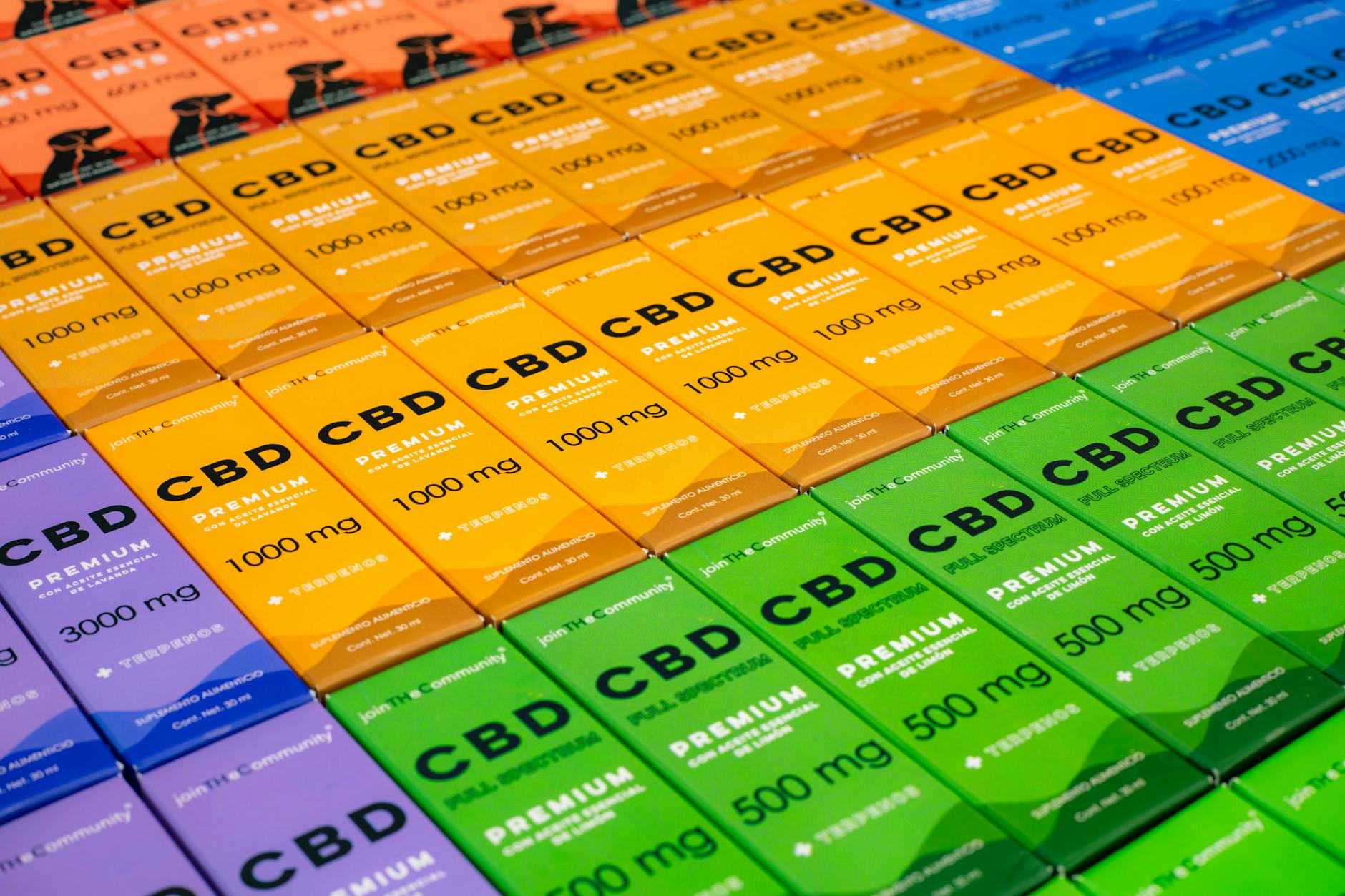 ced pexels 17605585