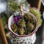 Recreational Marijuana - Cons | Britannica