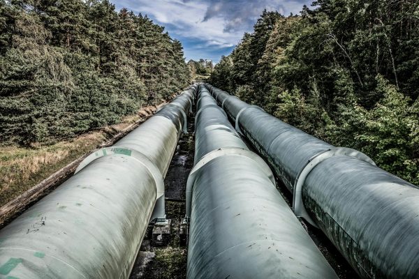 Pipeline Progress Drives Investor Focus at Agentix – Ad-hoc-news.de