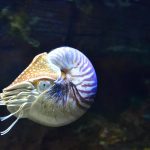 The Brain Science Behind the Munchies - Nautilus Magazine
