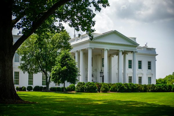 CED Clinic: Personalized Cannabis Medicine 378 Did President Donald Trump accidentally legalize medical marijuana in South Carolina?
