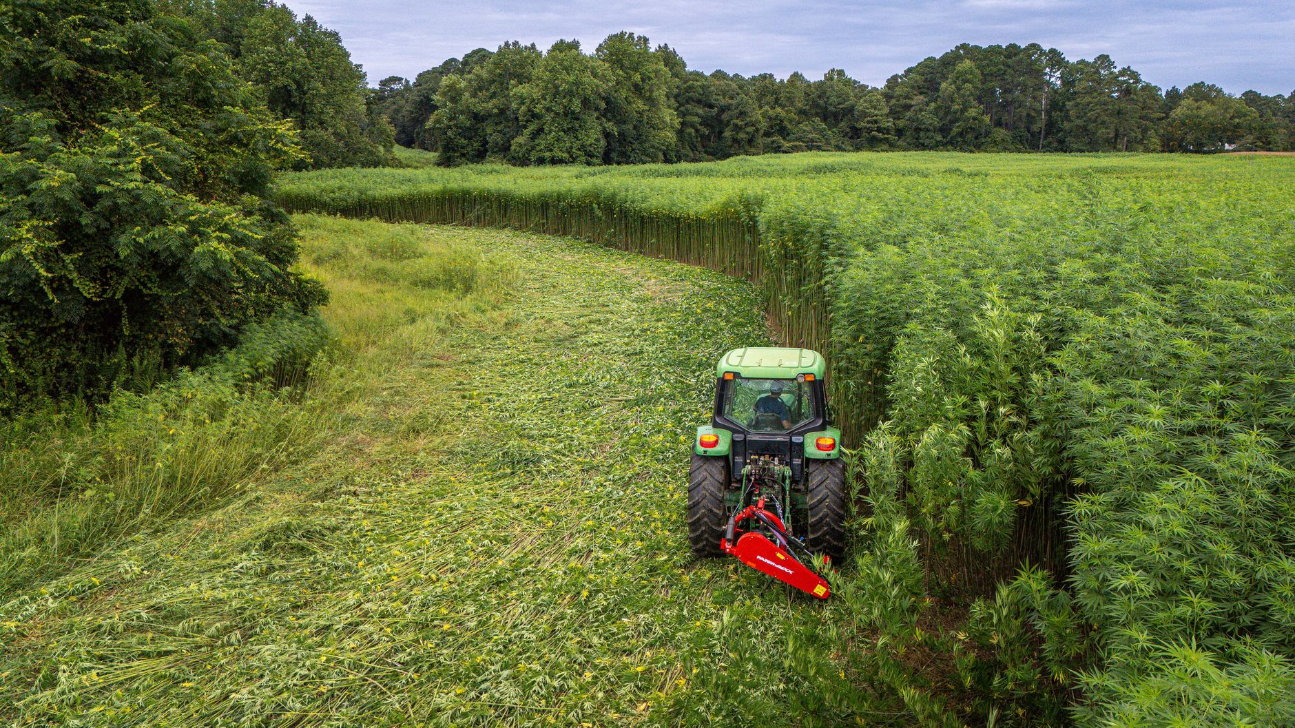 North Carolina hemp industry seeks extension as ban looms - Triad Business Journal