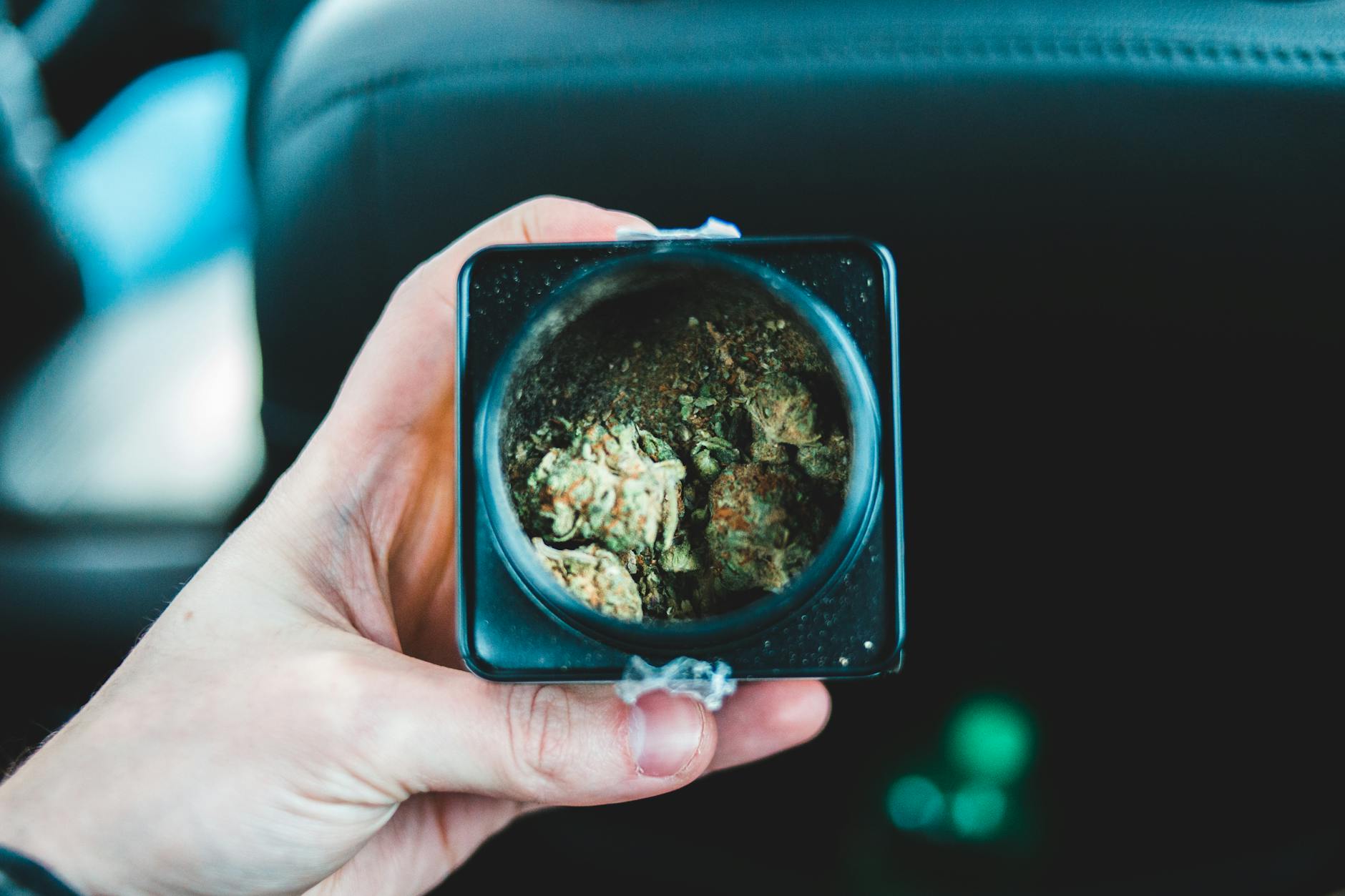 Can You Drive the Next Morning After Weed? Study Finds No Significant Impairment 12–15 … 32 Can You Drive the Next Morning After Weed? Study Finds No Significant Impairment 12–15 ...