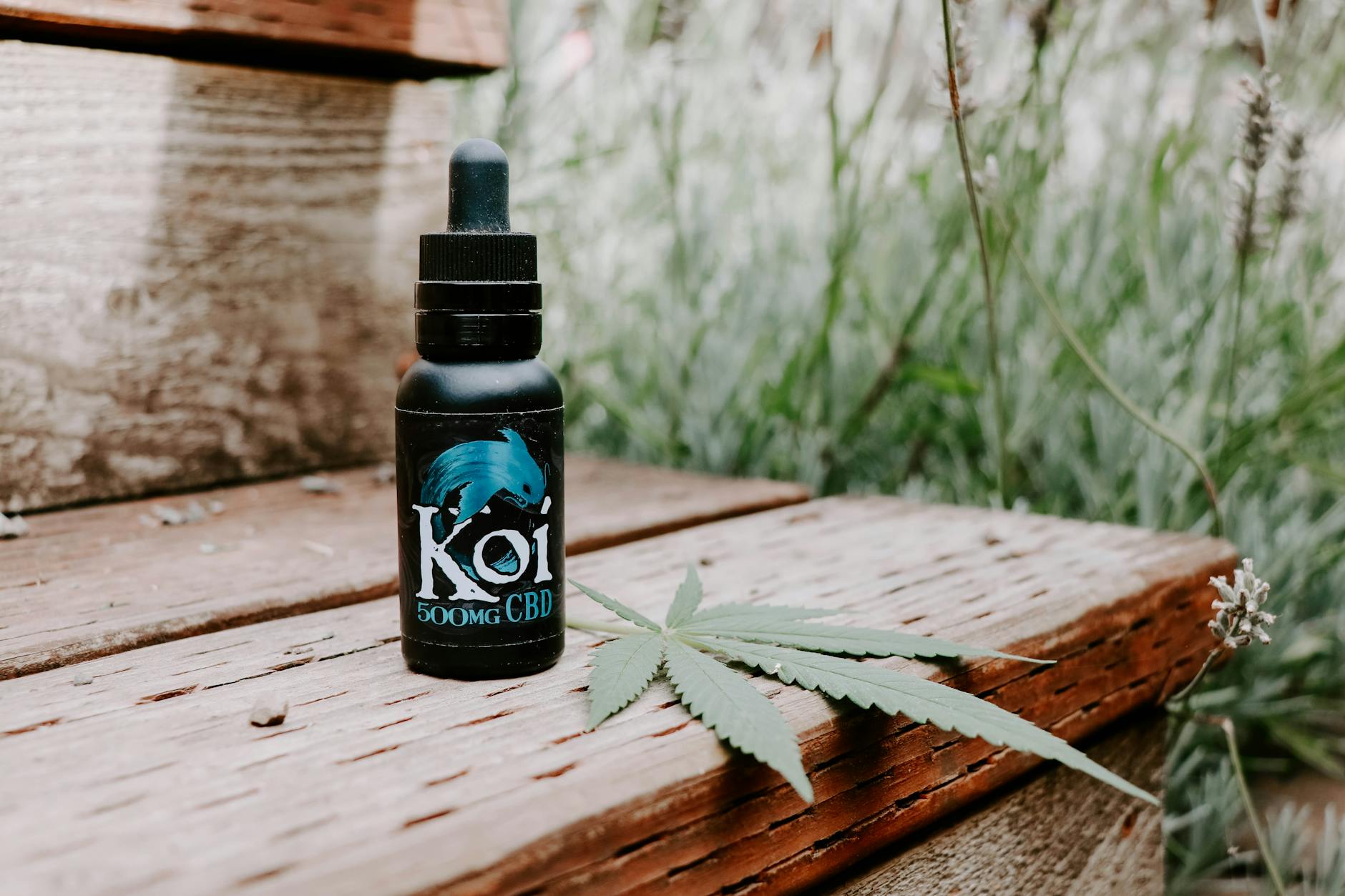 Koi CBD Gummies Reviews: A Realistic Assessment for Energy and Metabolic Balance