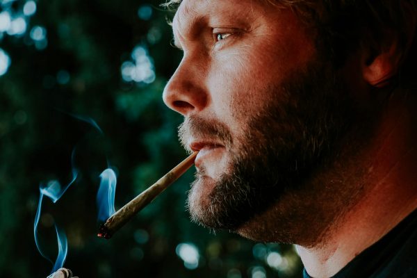 CED Clinic: Personalized Cannabis Medicine 386 Cannabis cheaper and more available than ever, study finds| Ryan Bridge TODAY
