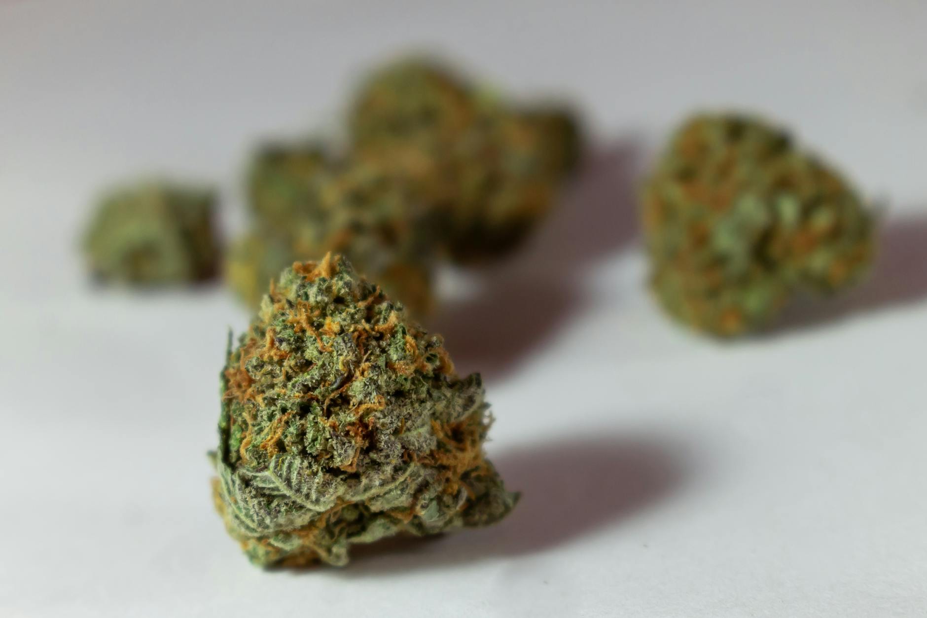 Seniors Are Skipping The Doctor And Going To The Weed Dispensary - StudyFinds