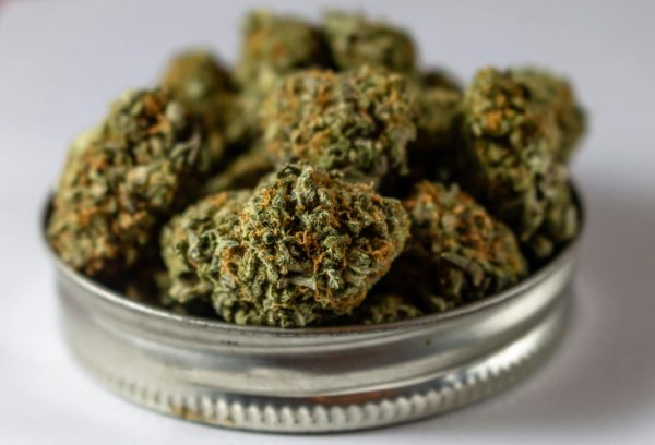 DEA’s New Marijuana Registration Questions Redefining the Cannabis Industry – And MMJ …