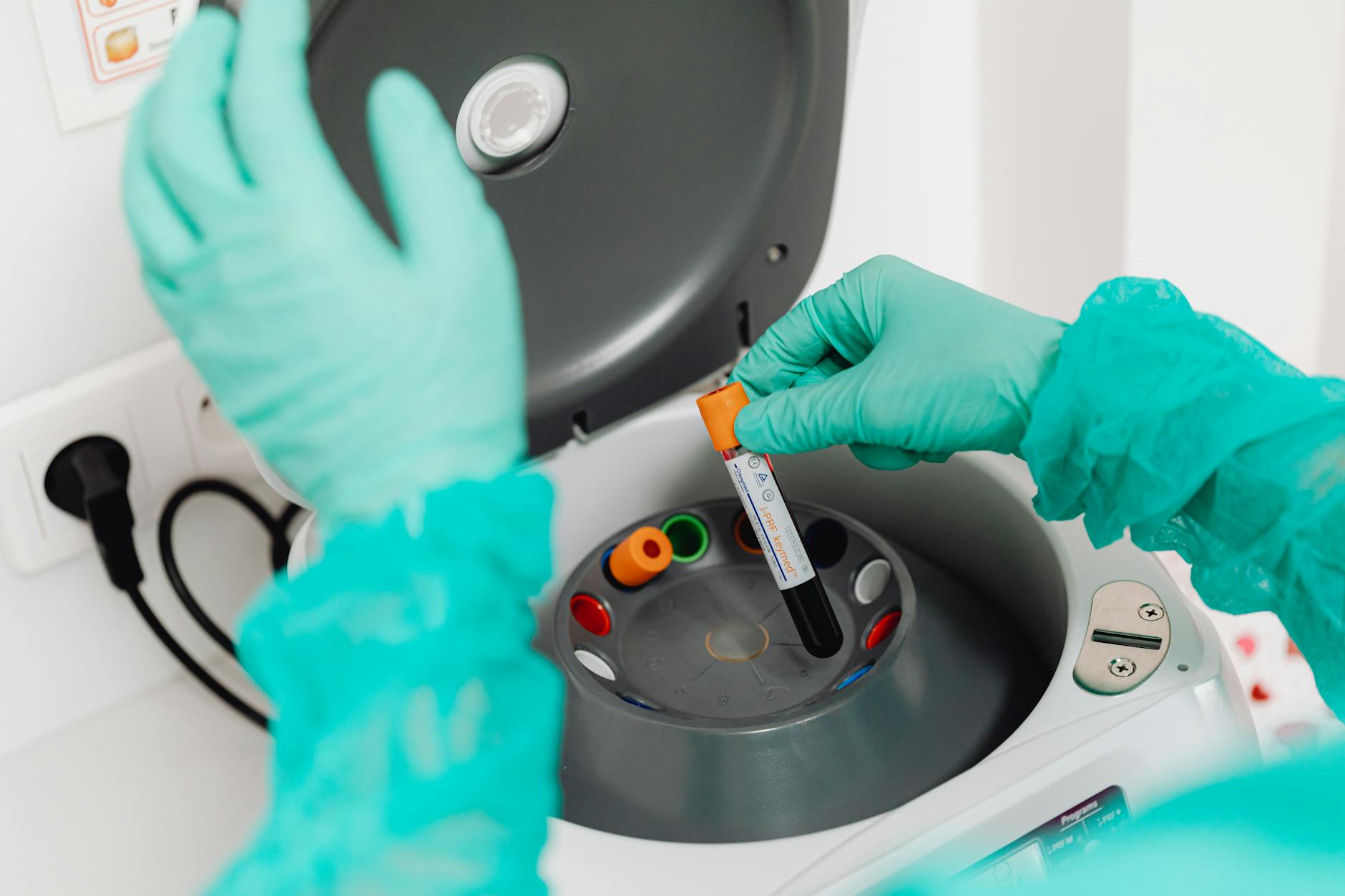 WWU awarded $3.1M grant to expand biomedical research | Cascadia Daily News