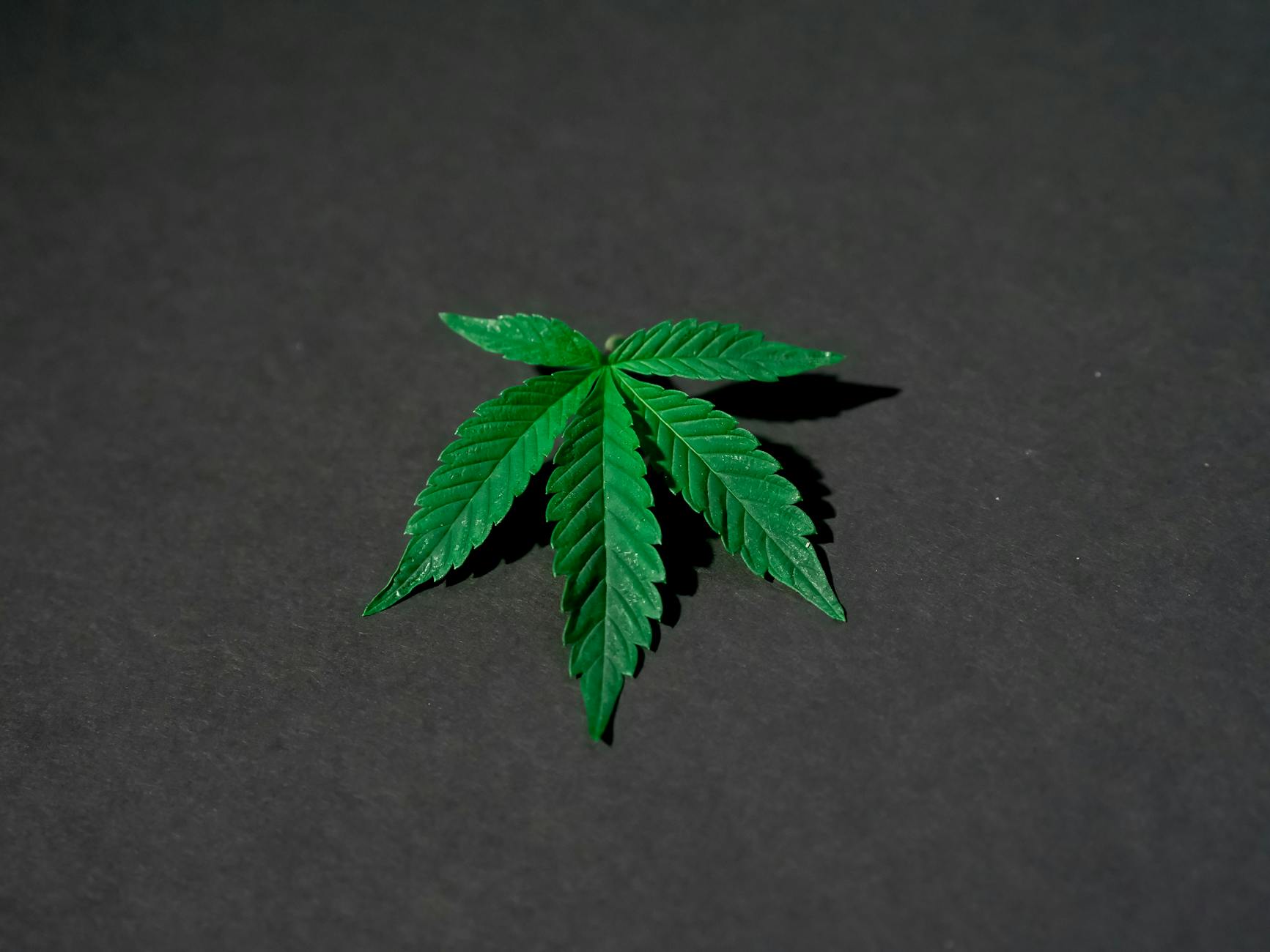 Exploring the Interplay of Medical Cannabis, the HPA Axis, and Inflammation in Depression ...