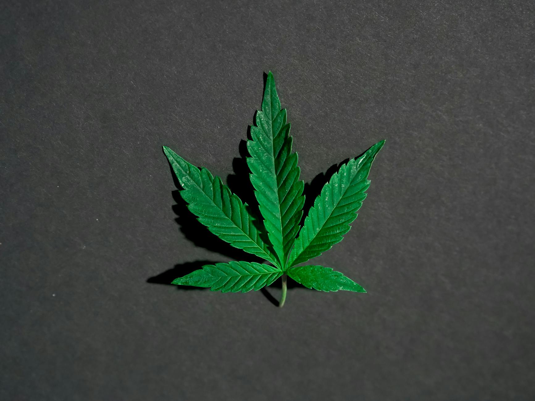 Higher-strength medicinal cannabis may be linked to a disturbing pattern of side effects, our ...
