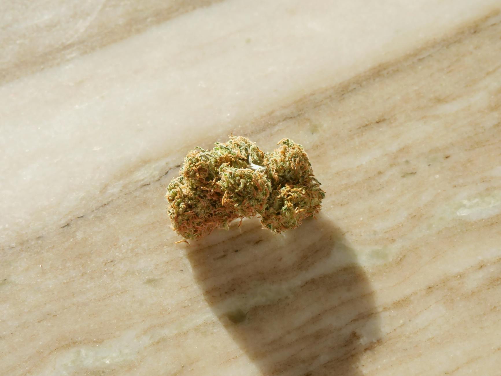 NY Advances Cannabis Research In First Study On CBD, THC, And IBD