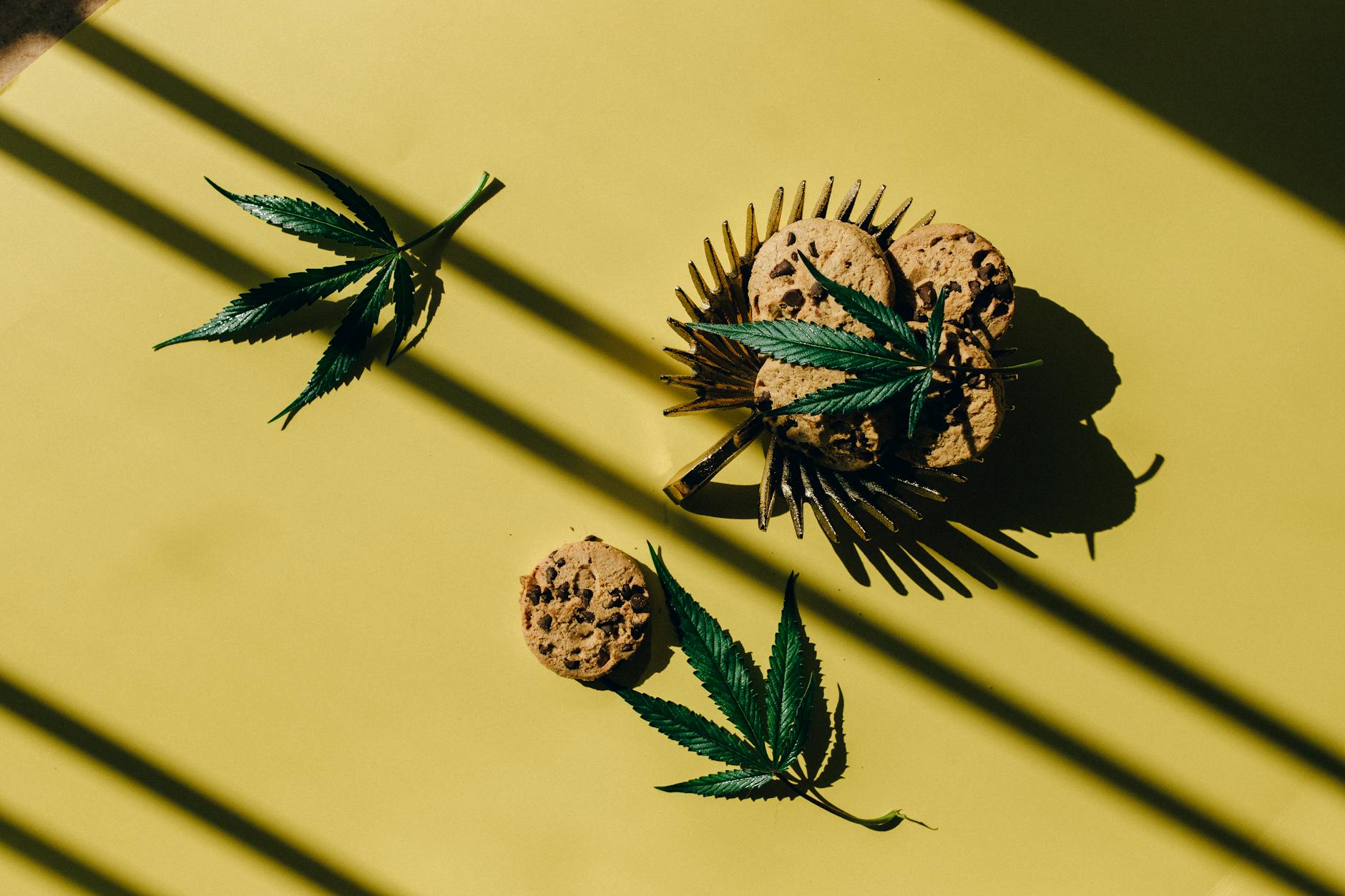 Grön Launches Cannabis-Infused Chocolate Pips in New York - Portland Today