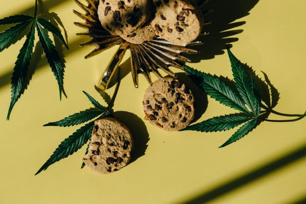 Research Uncovers Motivations Behind Older Adults’ Use of Cannabis Edibles