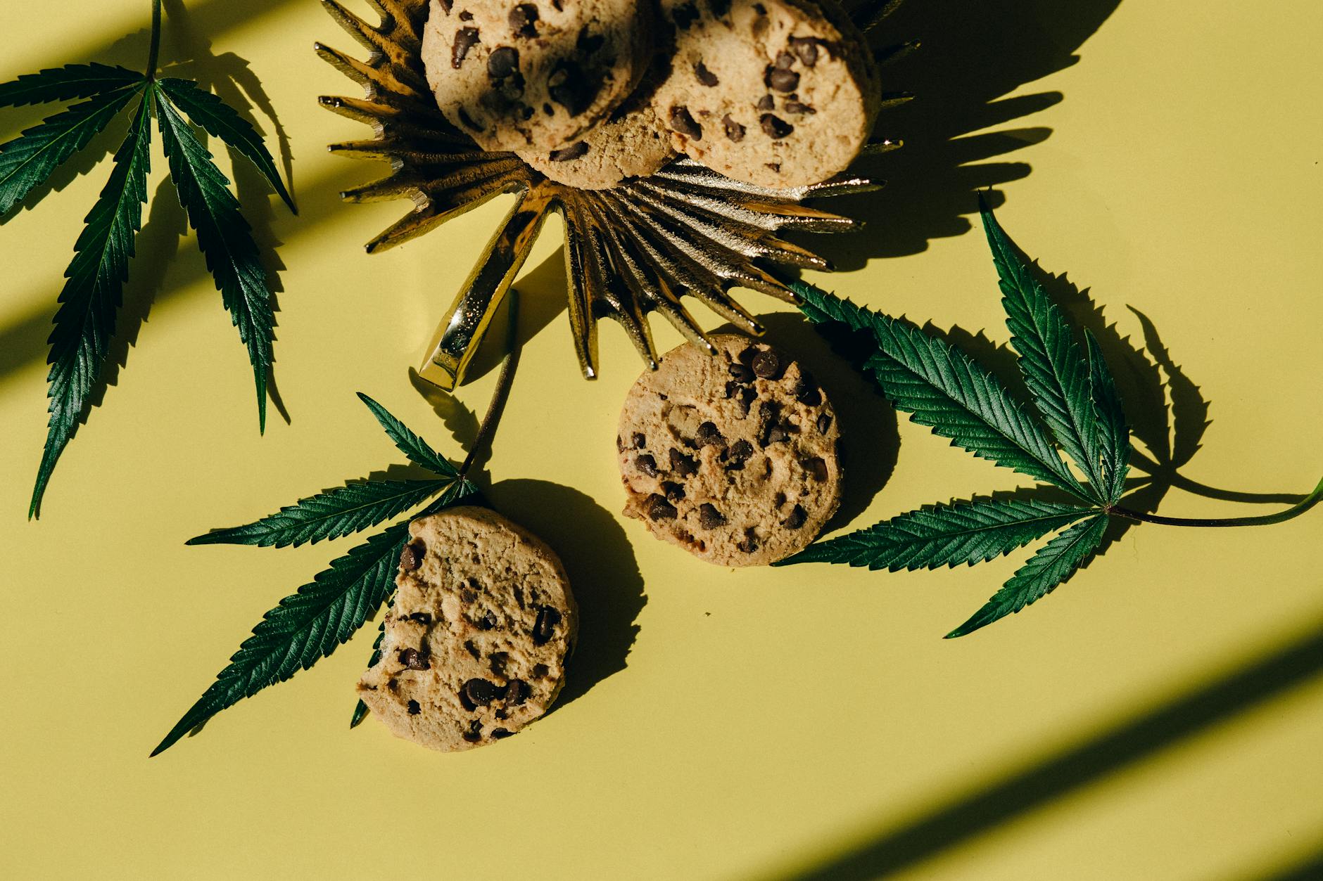 Research Uncovers Motivations Behind Older Adults' Use of Cannabis Edibles