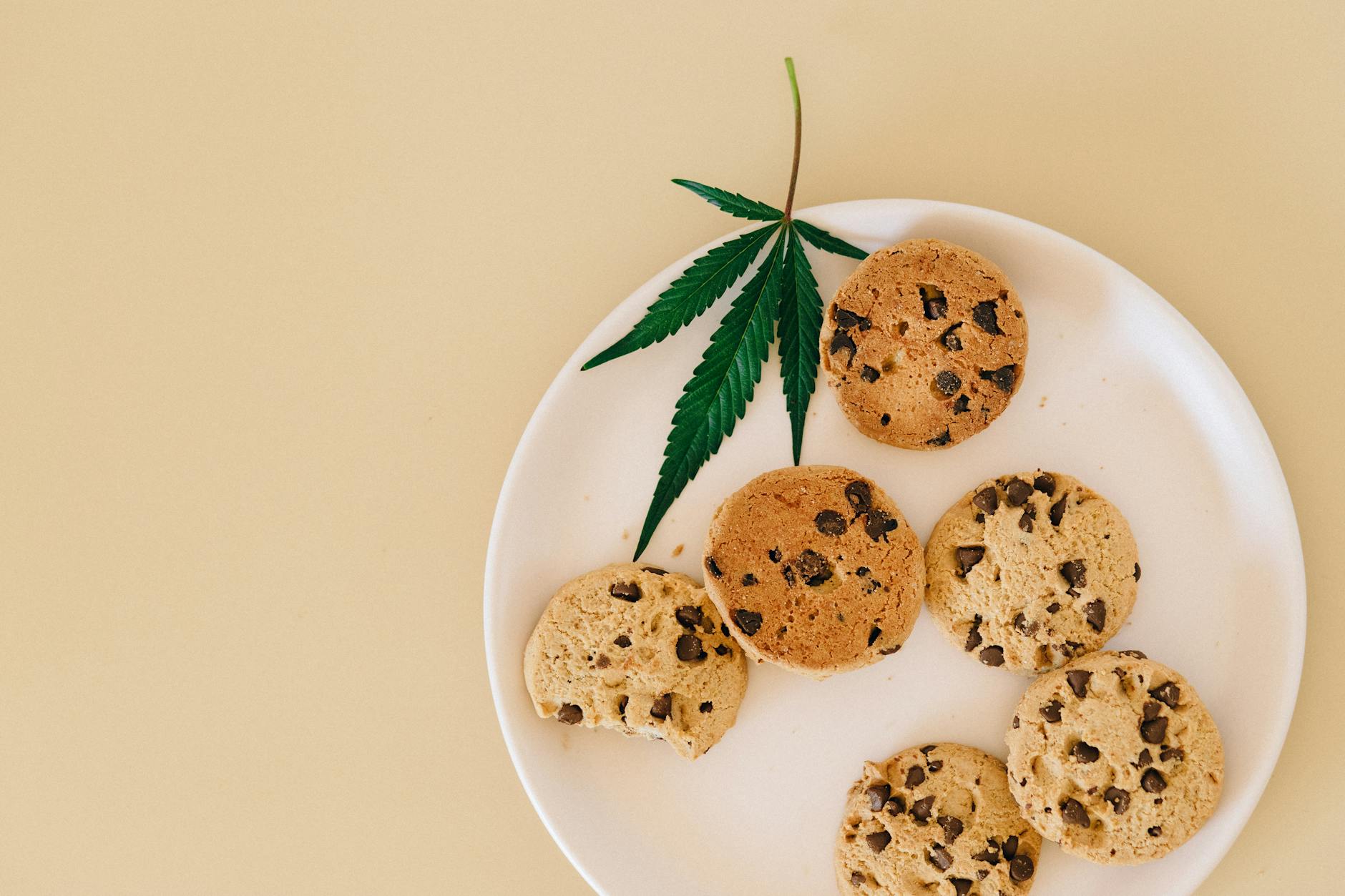 Edible Cannabis and Its Impact on Pain, Sleep, and Mental Health Management - Bioengineer.org