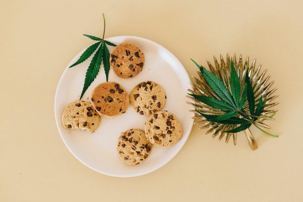 Edible cannabis and pain, sleep, and mental health management in older adults