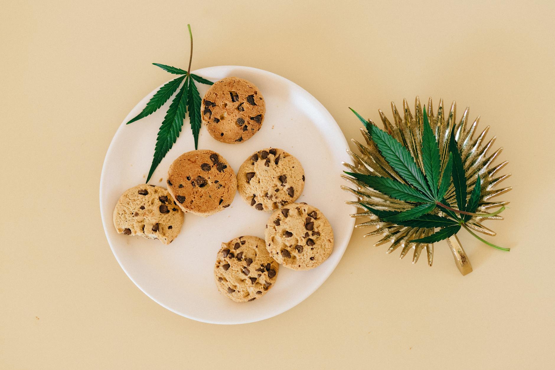 Edible cannabis and pain, sleep, and mental health management in older adults