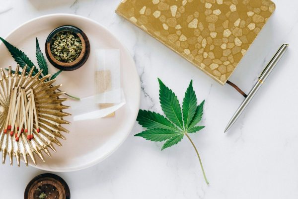 The Realities of Cannabis Rescheduling & GMP