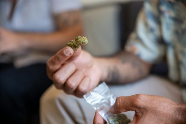 NH medical marijuana program added 2100 new patients last year – NHPR