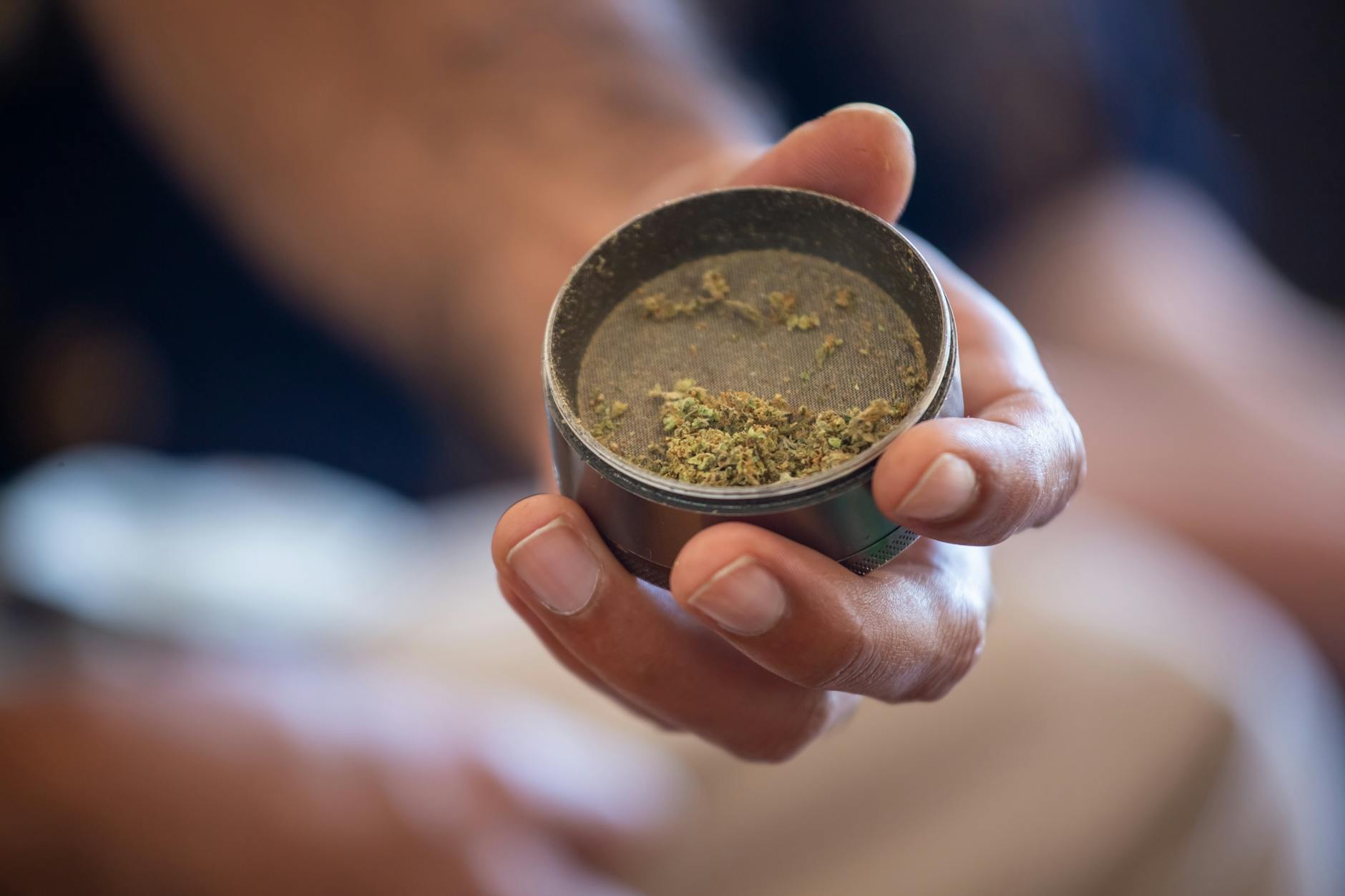 Cannabis Use by Teenagers Doubles Their Risk of Developing Psychotic and Bipolar Disorders