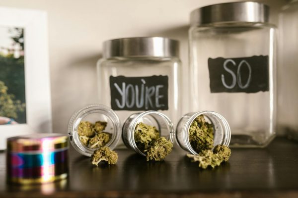State OIG finds KY medical marijuana licensing process ‘fair and transparent’