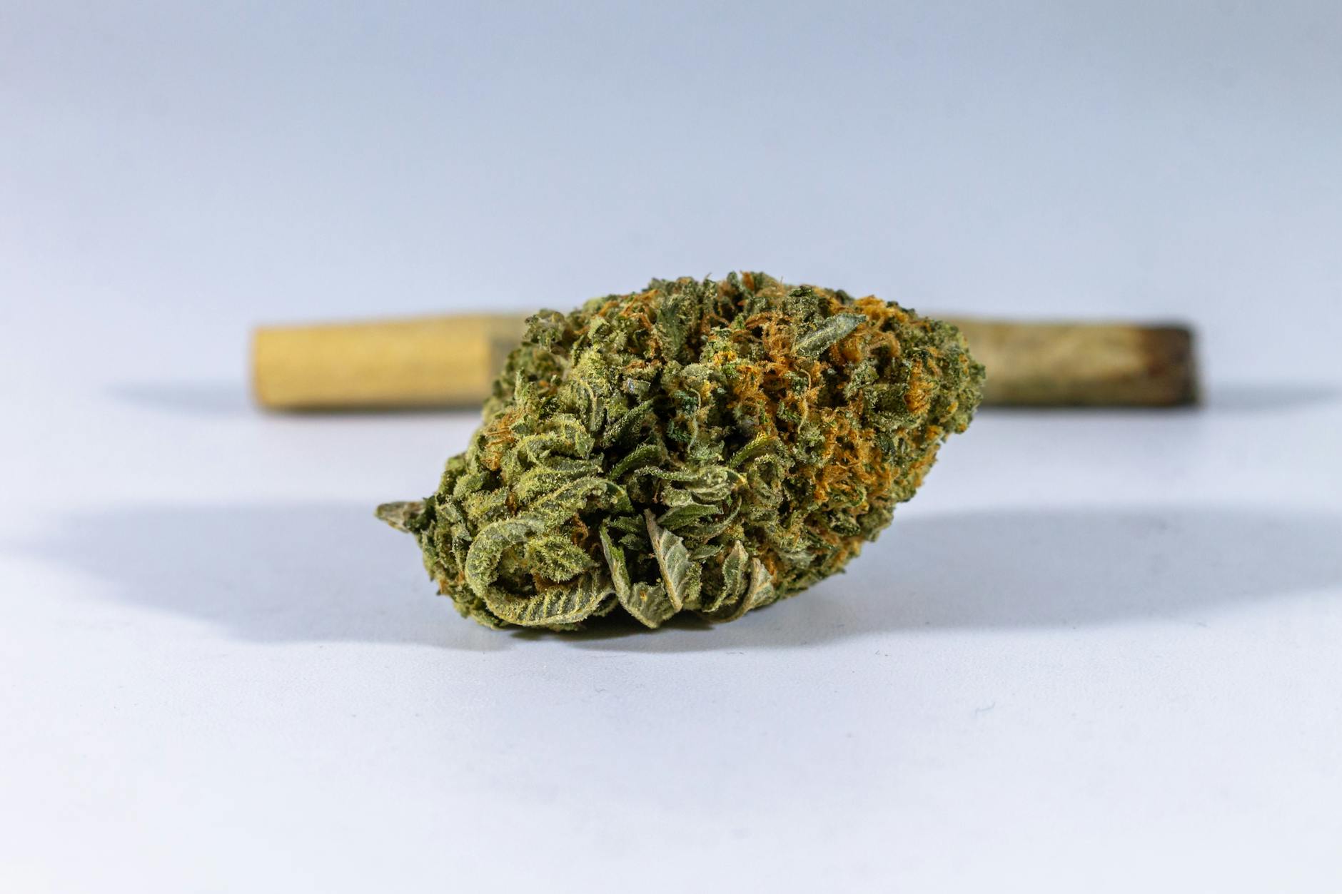 The science behind cannabis cravings and the booming munchies market