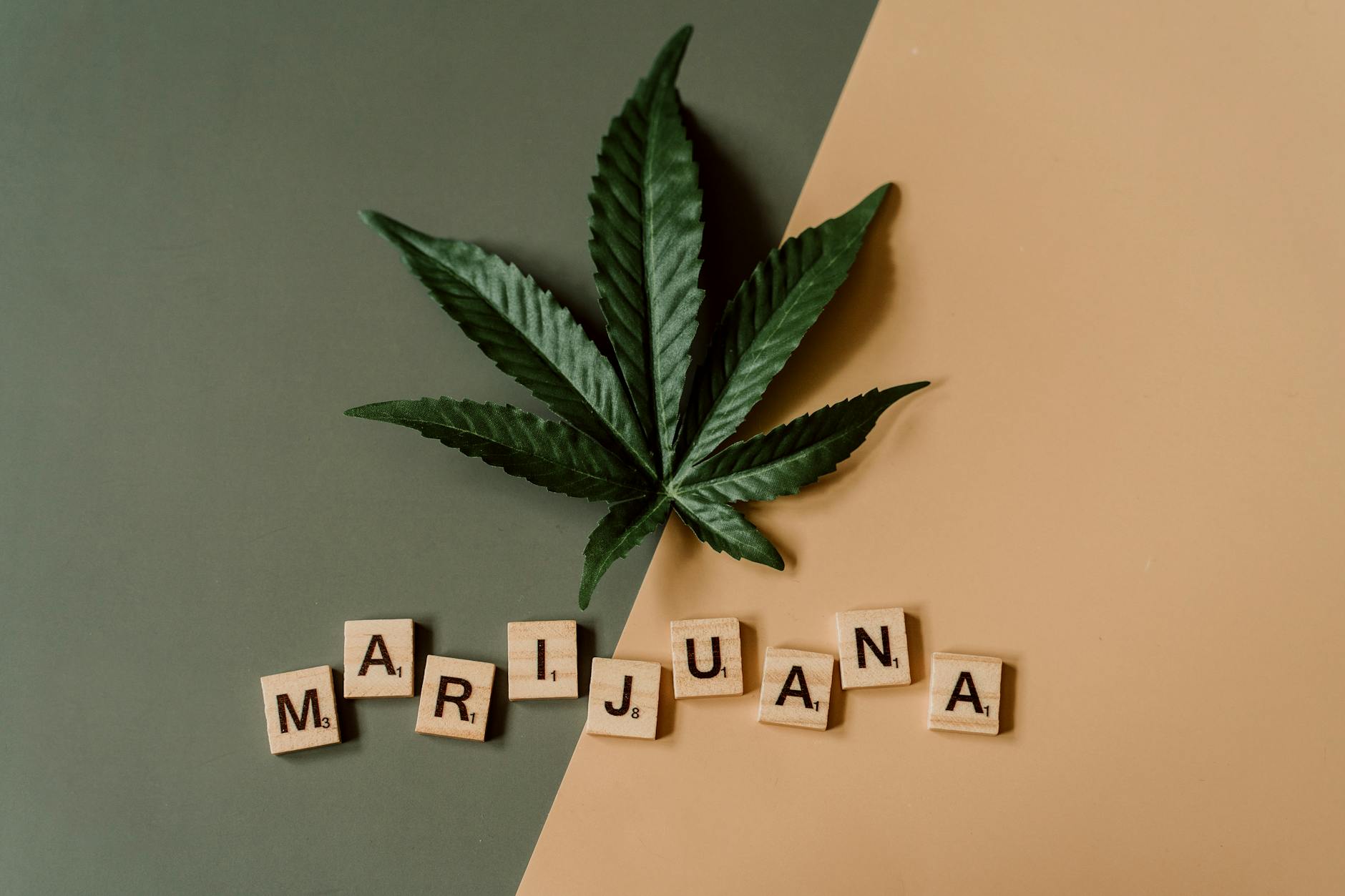 From Billion-Dollar Hemp Drinks to FDA Cease-and-Desist Letters: The Cannabis Industry's ...