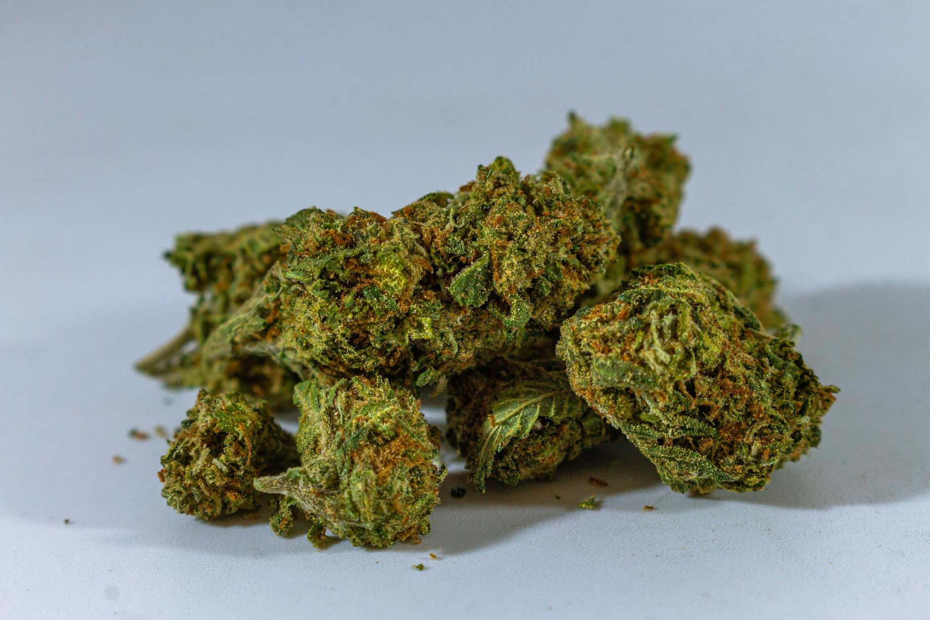 The association between cannabis use and brain reward anticipation: a 12-month ... - Nature