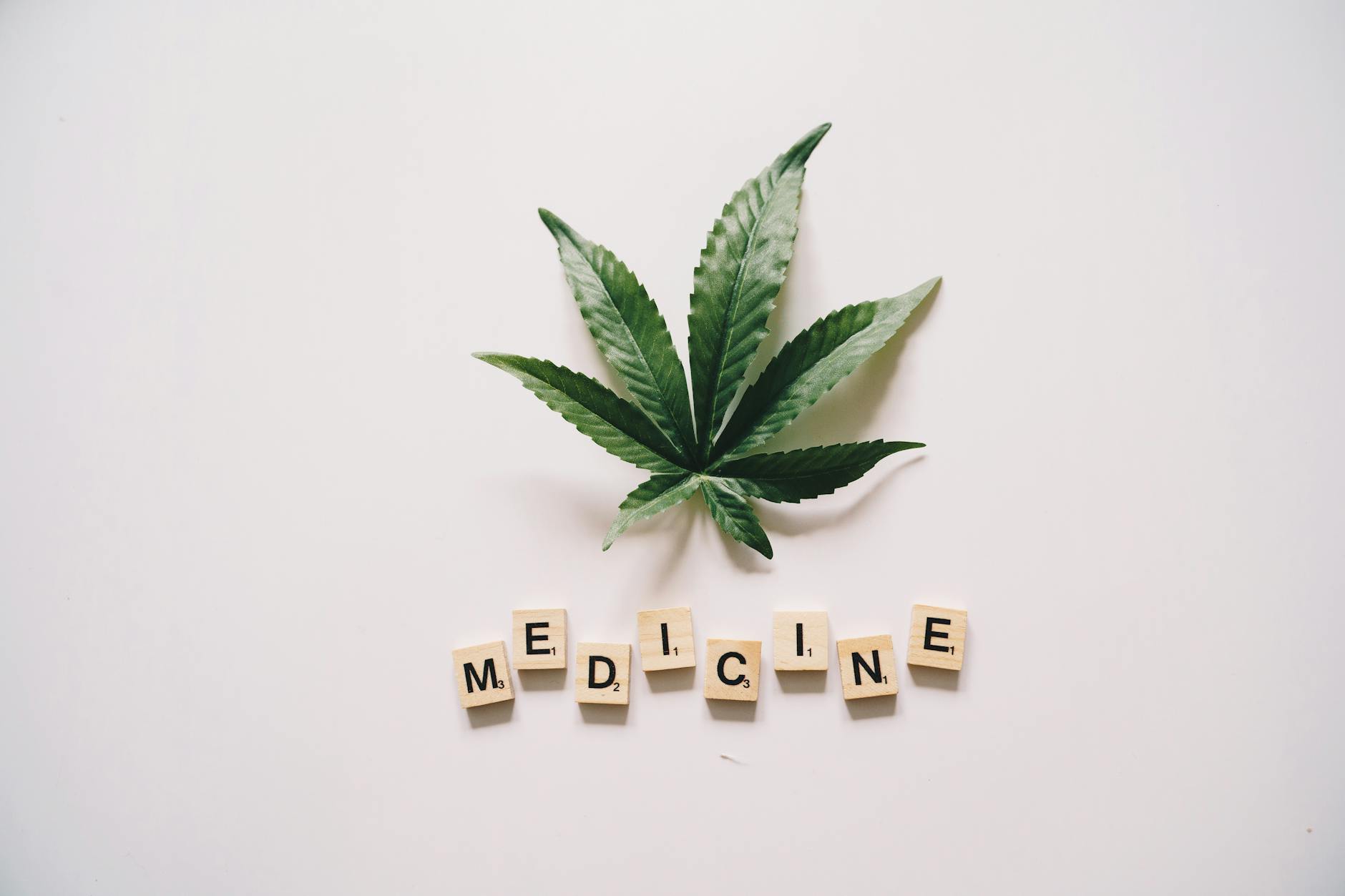 Cannabis Dosing in Family Medicine: Evidence-Based Guidelines for Endocannabinoid System Support