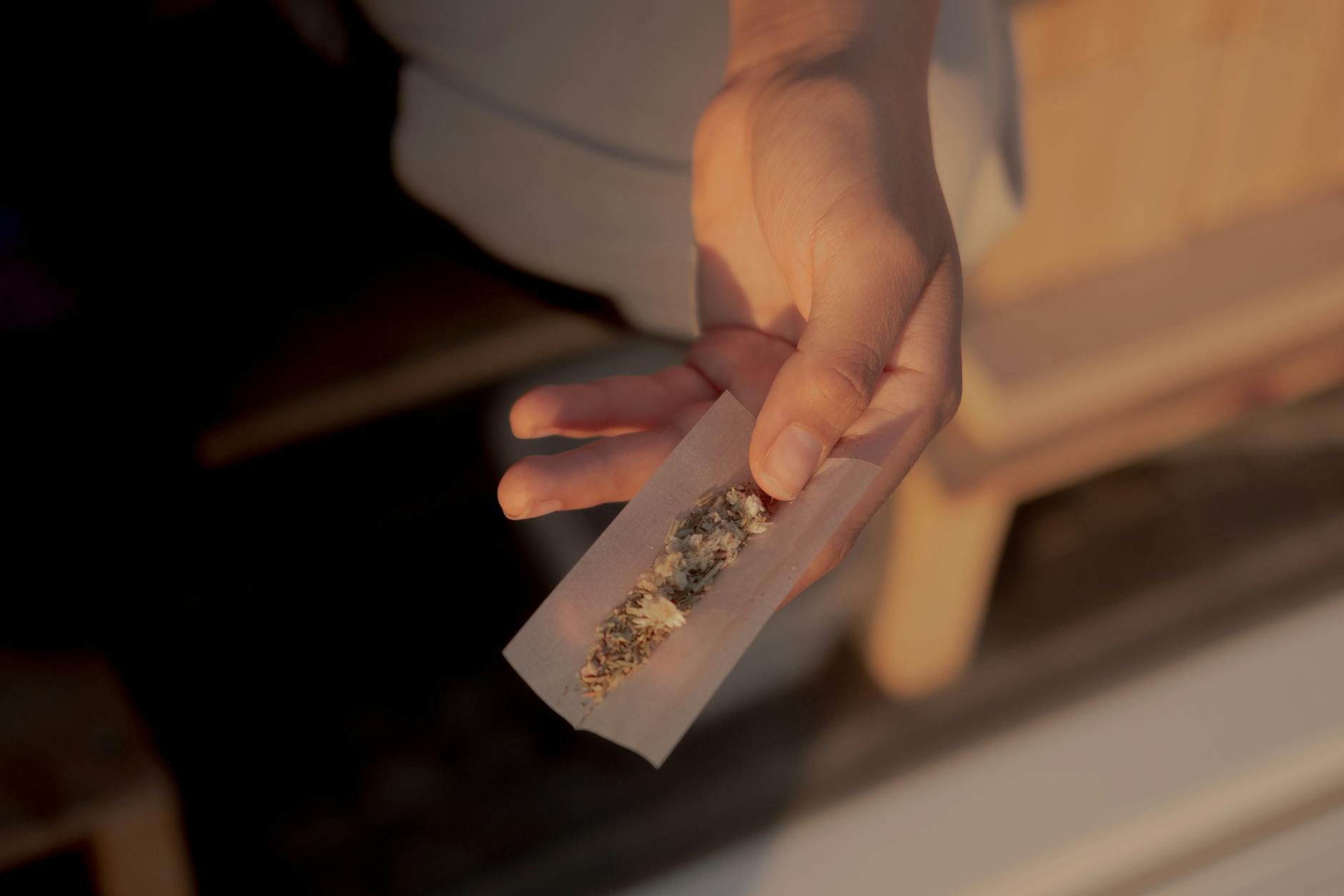 Cannabis Use Trauma Survivors Endocannabinoid System Insomnia Research