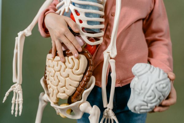 Cannabis affects childhood brain development, is ‘real risk’ for teens, UCSD finds in long-term study