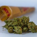 White House Drug Czar Clarifies That Marijuana Is 'Still Illegal' Following Trump ...
