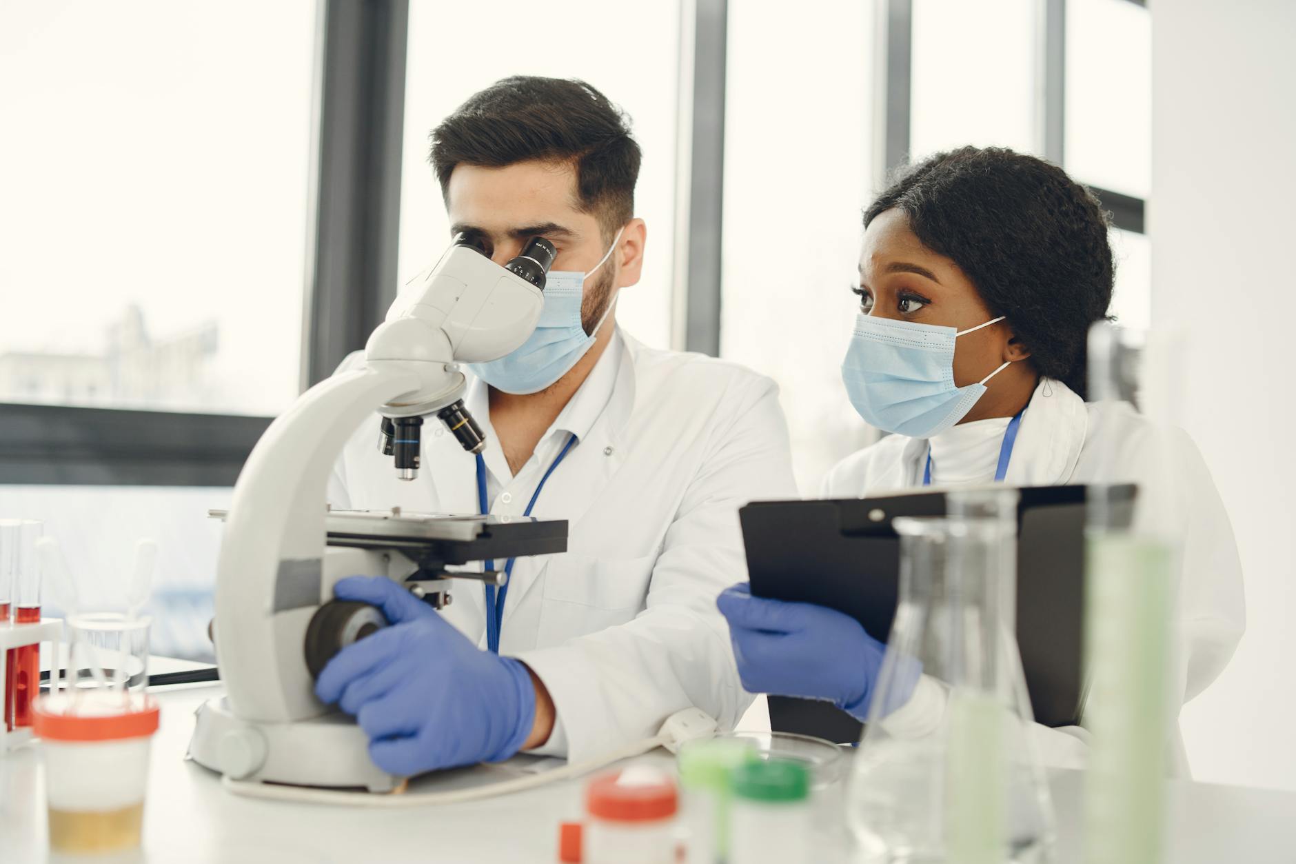 New York's cannabis regulator wants to ease IBD symptoms with THC and CBD in new study - AMNY