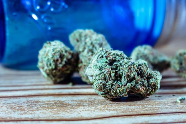 CED Clinic: Personalized Cannabis Medicine 436 Federal Medical Cannabis Reclassification: Policy Shift Acknowledges Therapeutic Use …