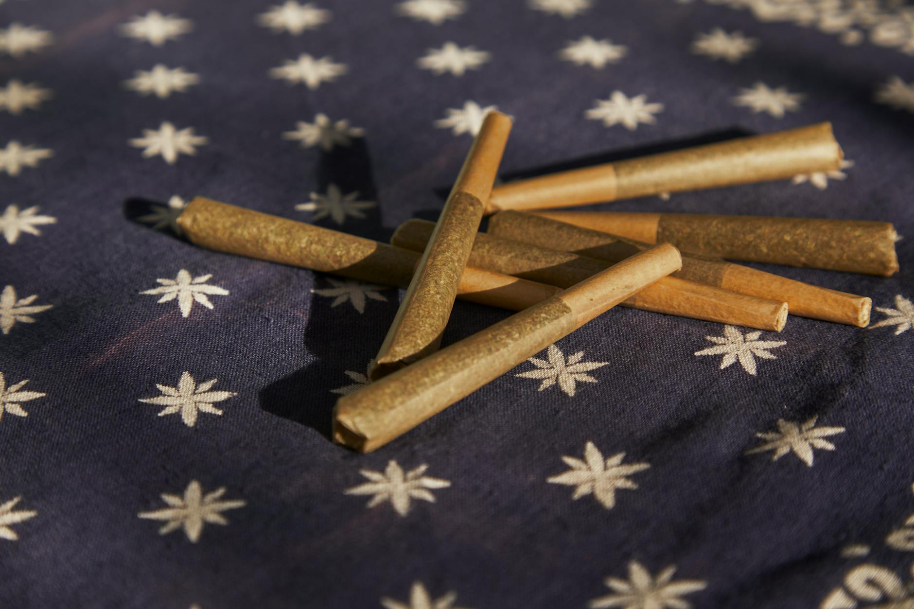 The Cannabis Component CBG Shows Promise In Treating Rheumatoid Arthritis With Its ...