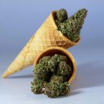 Oregon Bill To Ban Marijuana Edibles With More Than 10 Milligrams Of THC Fails