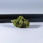 Seniors Are Skipping The Doctor And Going To The Weed Dispensary - StudyFinds